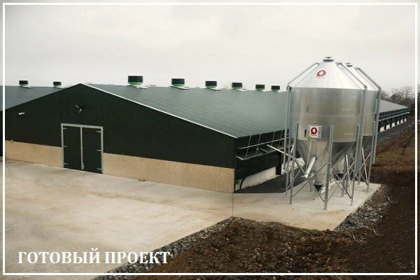 Этапы возведения птицефабрики от завода ВелесТент-кмн